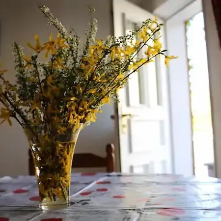 Διαμέρισμα Du Heidenberg *